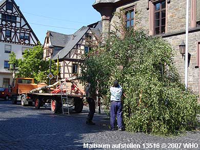 Die Maibaumaufstellung begann um 14 Uhr mit der Abholzung im Wald.