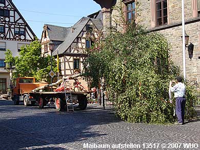 Das Maibaumaufstellen begannen drei stdtischen Arbeiter um 15 Uhr mit dem Schmcken des Maibaums in der Rathausstrae vor dem Rathaus der Verbandsgemeinde St. Goar-Oberwesel.