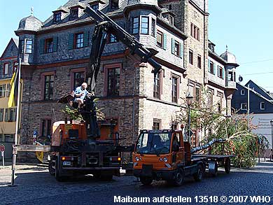 Gegen 15.35 Uhr kann das Maibaum aufstellen beginnen.