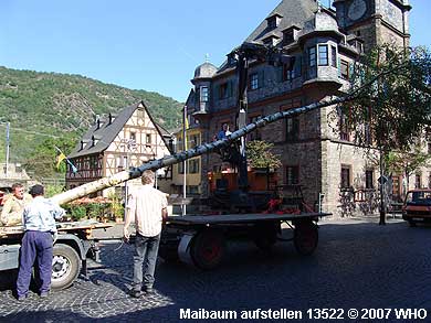 Um 15.45 Uhr wird der Maibaum auf dem Marktplatz angehoben.