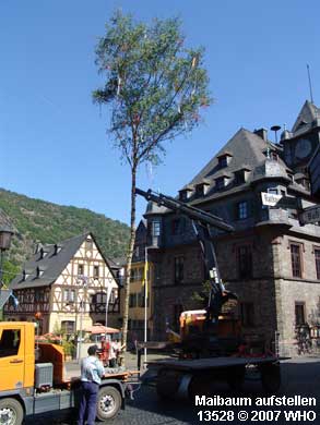 Maibaum aufstellen auf dem Marktplatz in Oberwesel.